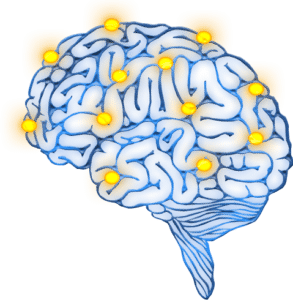 Neuroplasticity – What’s The Evidence? - Moterum Technologies