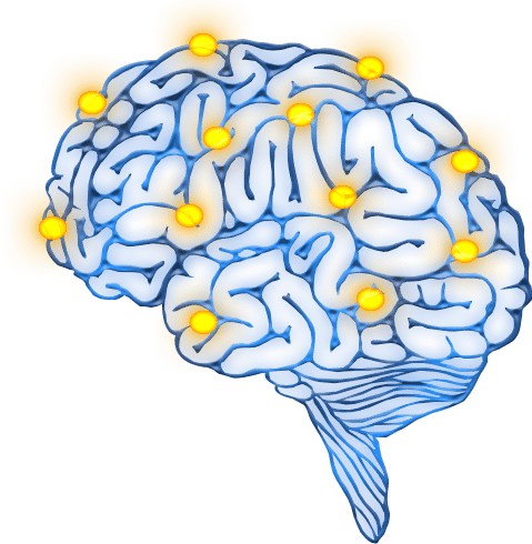 Neuroplasticity – What’s The Evidence? - Moterum Technologies